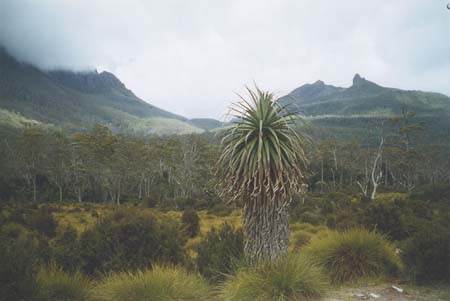 Tasmania Frog Flats 2003